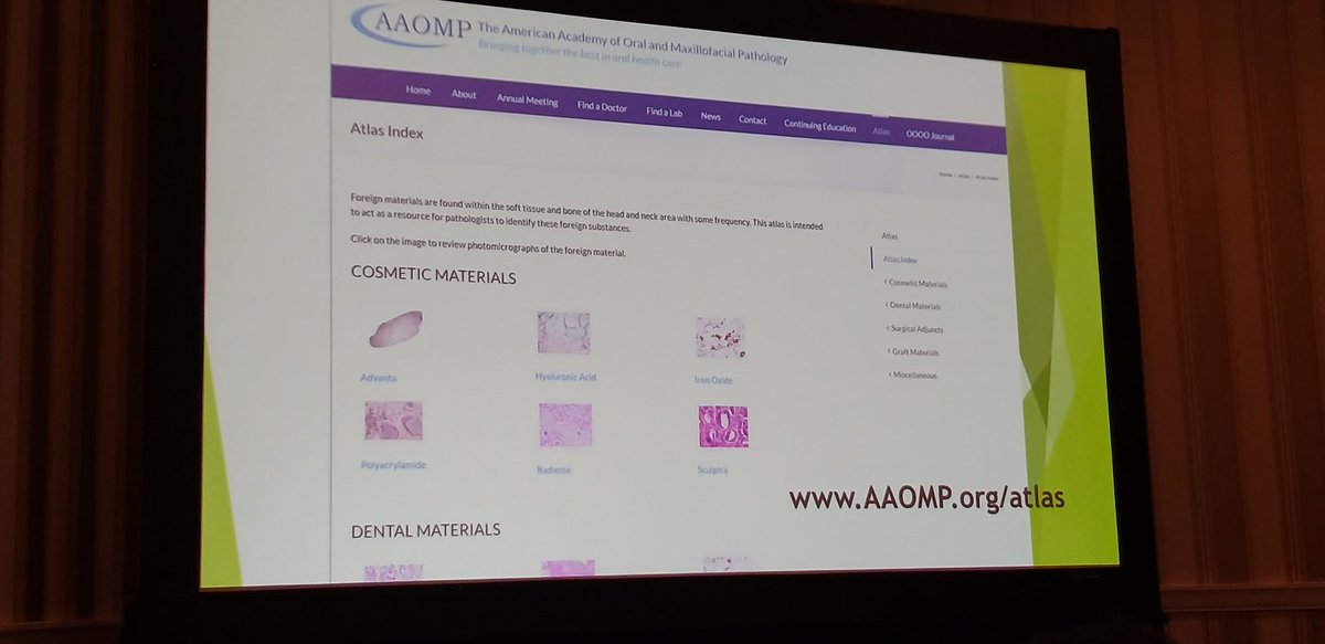 HeadandNeckPath's tweet photo. Fillers by Susan Muller at the NASHNP meeting #USCAP #NASHNP #Headandneckpath https://t.co/FK6mYi9Gqa