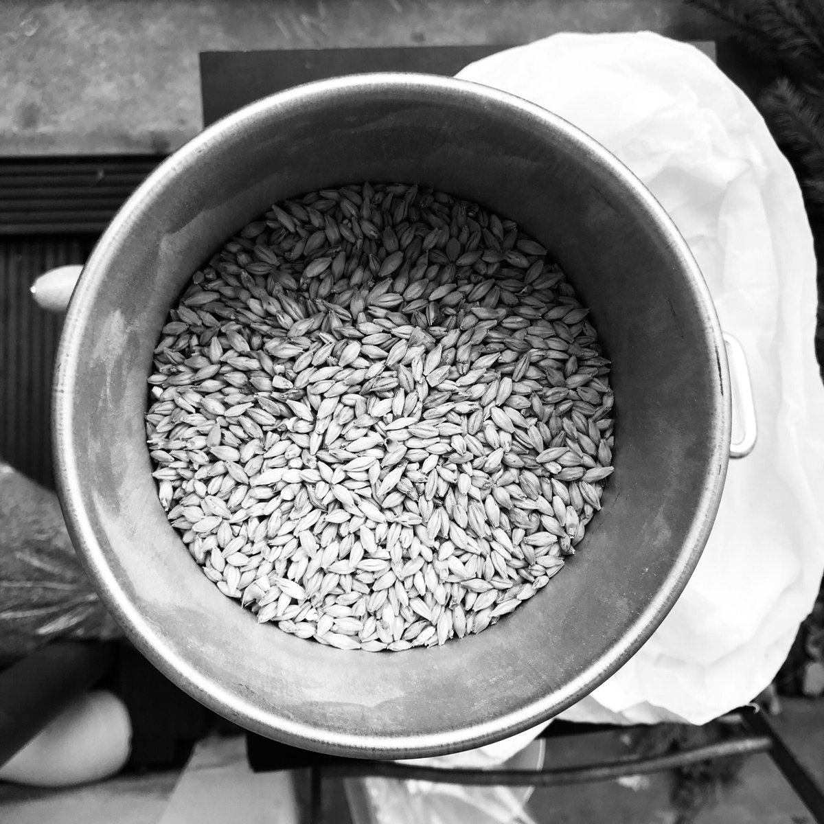 KumpelBier's tweet photo. Bier für @sloshberlin brauen ✔️
#homebrewing #beer #makingbeer https://t.co/GKQa4575NT