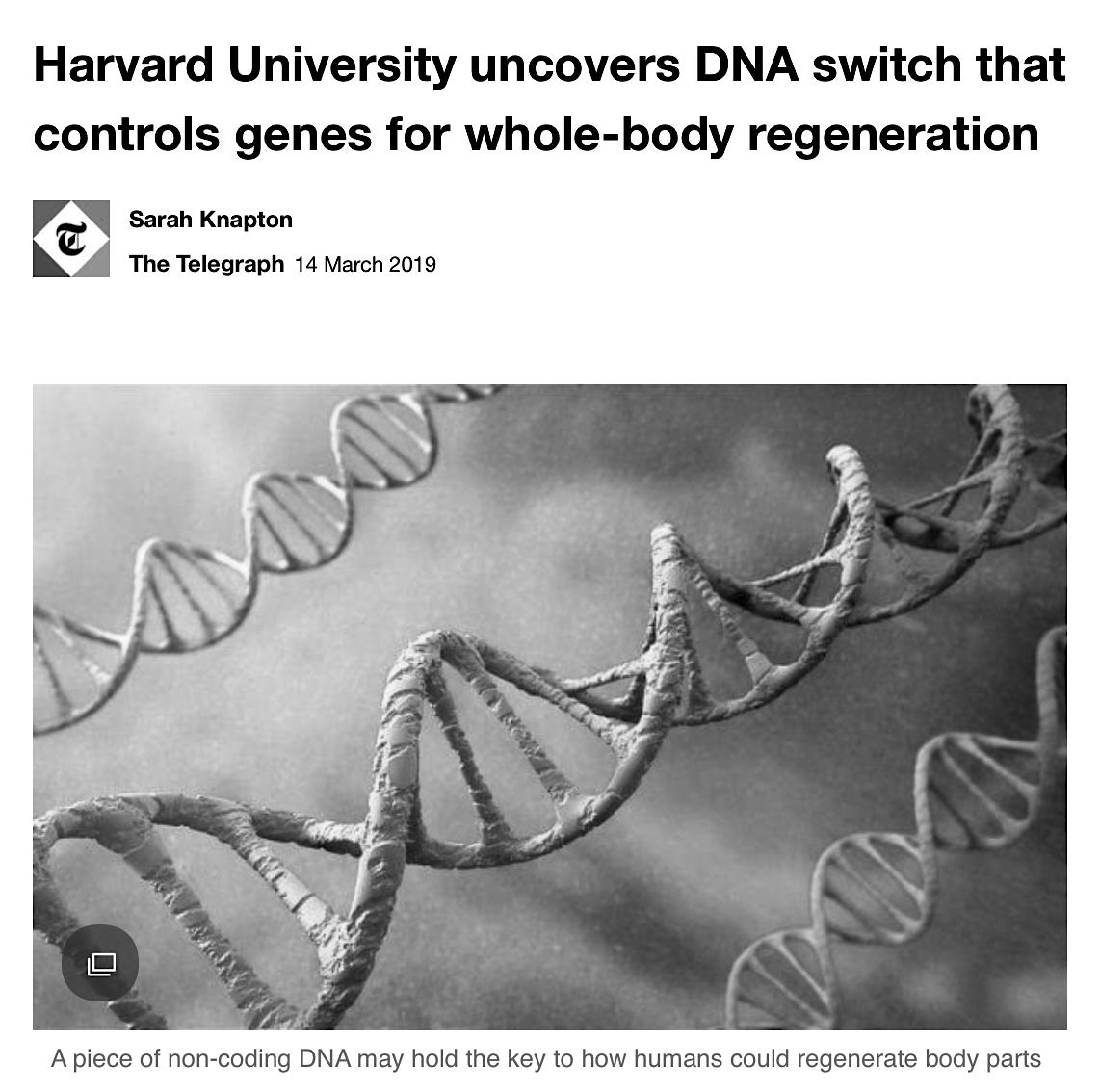 Scientists Discover That In Worms, A Section Of Non-Coding Or ‘Junk’ DNA Controls The Activation Of A ‘Master Control Gene’ Called Early Growth Response (EGR) Which Acts Like A Power Switch, Turning Regeneration On Or Off.March 14, 2019 https://sg.news.yahoo.com/harvard-university-uncovers-dna-switch-180000109.html