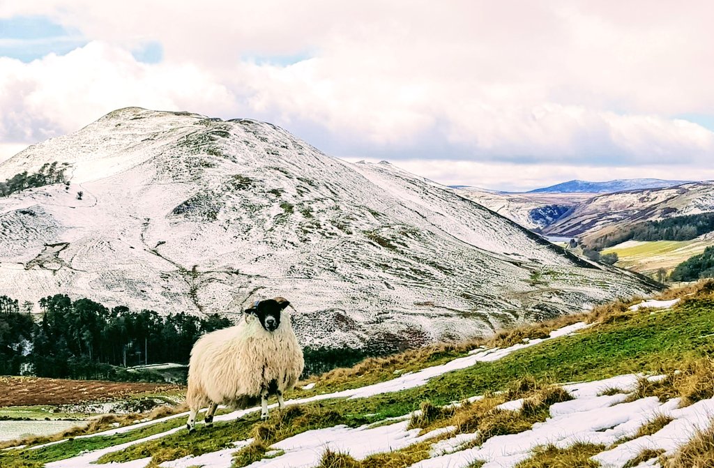 This is Scotland! <a href="/VisitScotland/">VisitScotland</a> 
#ScotlandIsNow