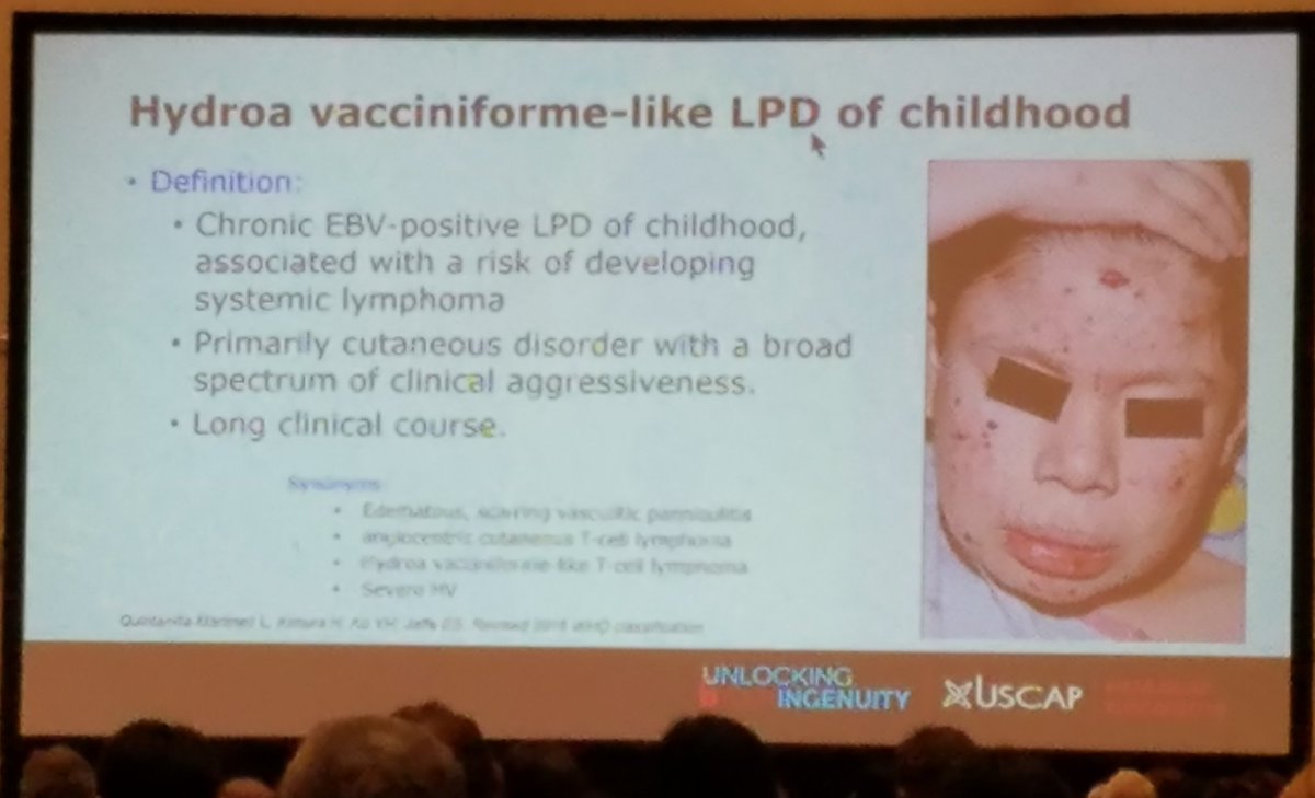 Kamran Mirza MD PhD - کامران مرزا tweet media