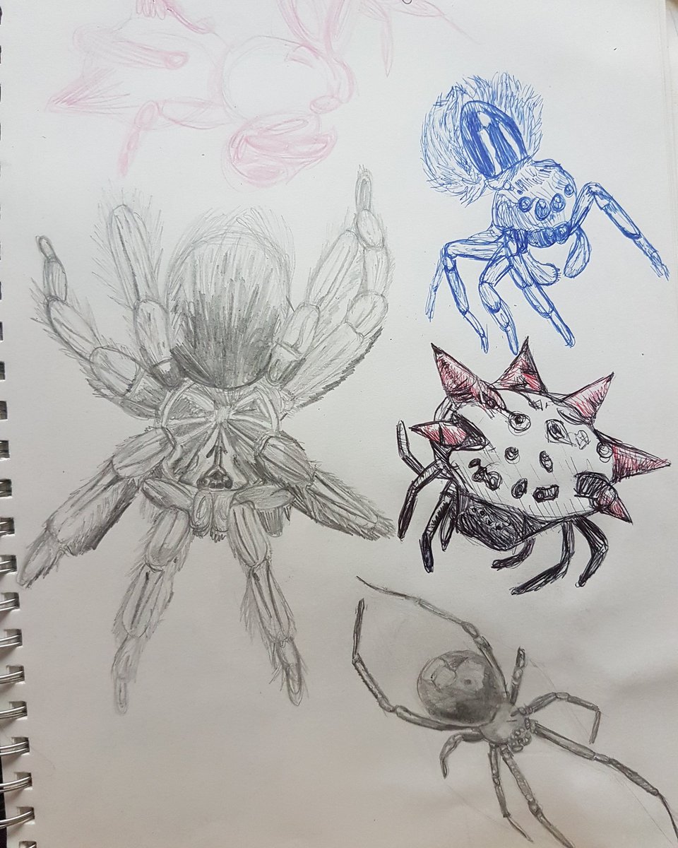 KraftyLil's tweet photo. Sketch studies of spiders 
#art #artwork #ArtistOnTwitter #sketchbook #pencildrawing #pencilsketch #pencil #penscetch #pen #sketch #Art #artist #spider https://t.co/X6F04te3HF