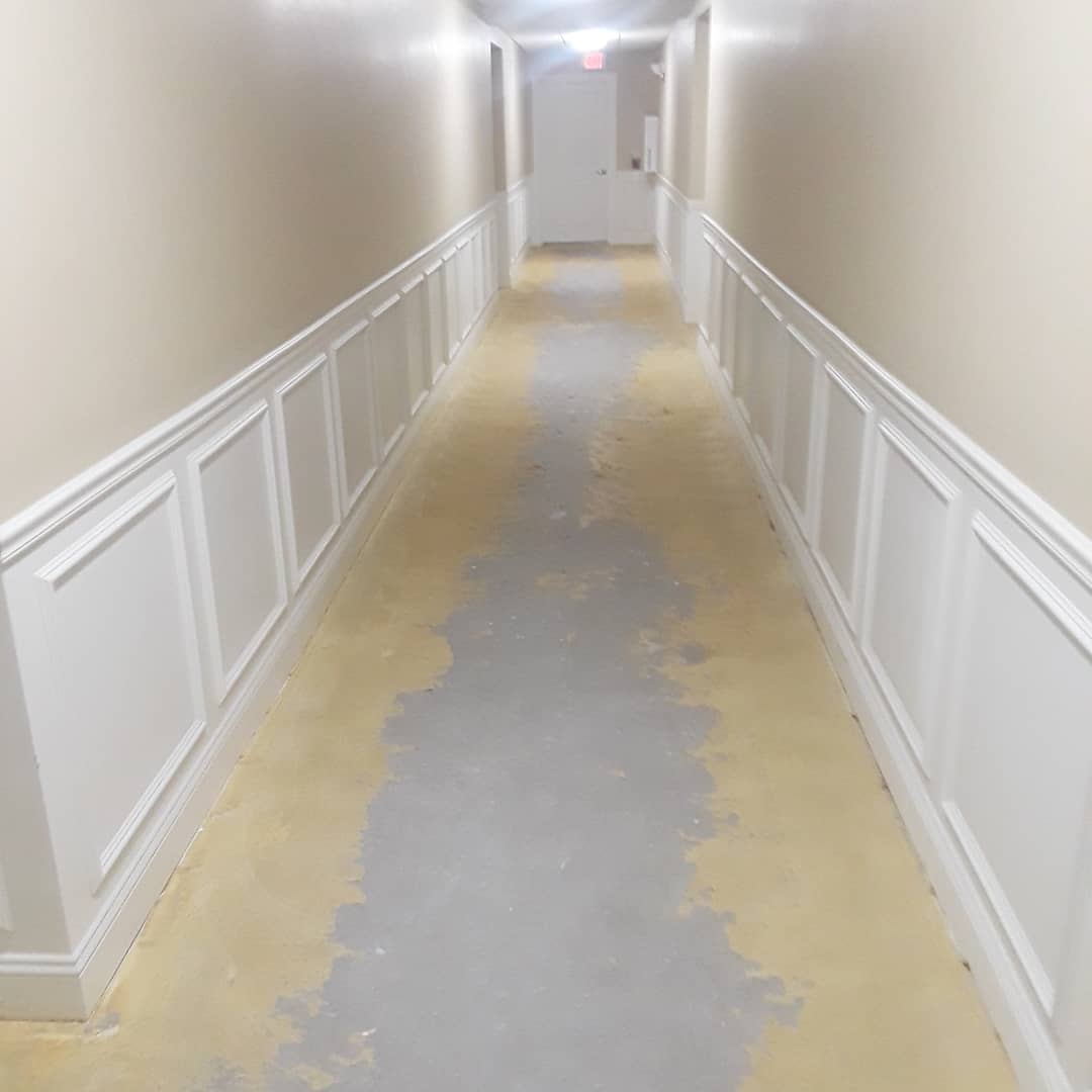FRenovations1's tweet photo. All new carpet tiles for this high end high rise @proknee #carpetdoctor #carpettiles #carpettile #carpetinstallation #carpetinstaller #contractor #proknee #diy #buildingremodel #hardwork #workhard #hardworkpaysoffs #thisiswhatwedo #gohardorgohome #fullcirclerenovation1 https://t.co/gfGD9voW1T