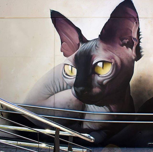 SASML_'s tweet photo. • ARTIST . MAN O MATIC • ◦ Fatcat ◦
event: Graffitea
location: Valencia, Spain
@streetartsavemylife
@manomaticone
#manomatic #cat #sphynx #graffitea #graffiti #wall #mural #urbanart #streetart #streetartsavemylife #sasml https://t.co/mlWoq2PUWe