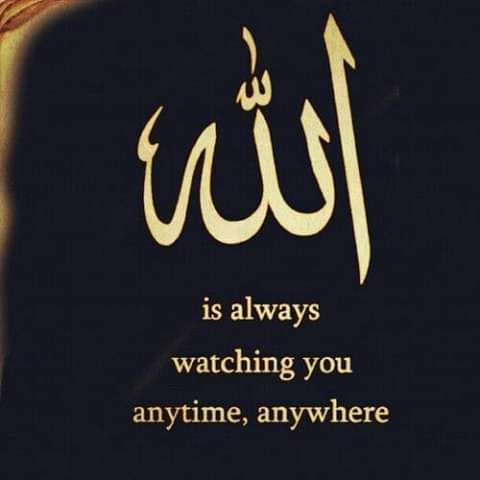 ShaZareenSWT's tweet photo. #NewProfilePic https://t.co/afW1Y4B07m