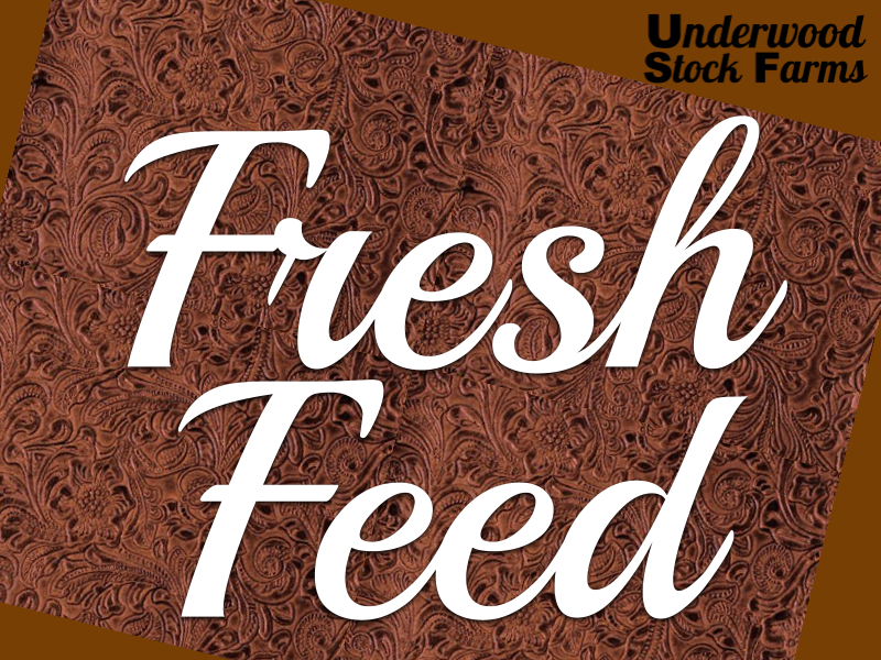 UnderwoodBeef's tweet photo. We've got fresh feed in stock!

We keep 🐖 pig and 🐄 cattle feed from @SungloFeeds in stock.  Message us for specific product availability.

Need 🐐 goat or 🐑 lamb feed?  We can get it for you! 

#sunglofeeds #showfeed #livestock #showpigs #showsteers https://t.co/uSKZkYpKQw