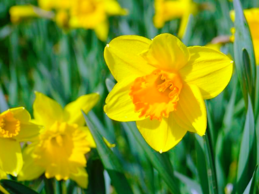 Urban Smoothie Bikes tweet media