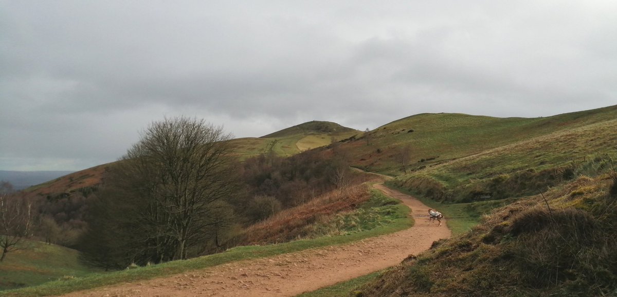 smoggiewalks's tweet photo. Wandering in the Malvern hills #getoutside #WHWtraining @OrdnanceSurvey @MalvHillsTrust @VisitWorcs @LiveGeocaching https://t.co/HAhxeGThSo