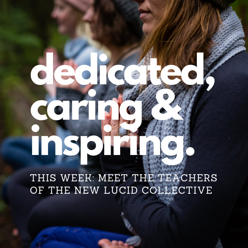 Check in with us this week as we introduce your teachers of the New Lucid Collective! #yegyoga #Yeg #yegdt #madeinedmonton