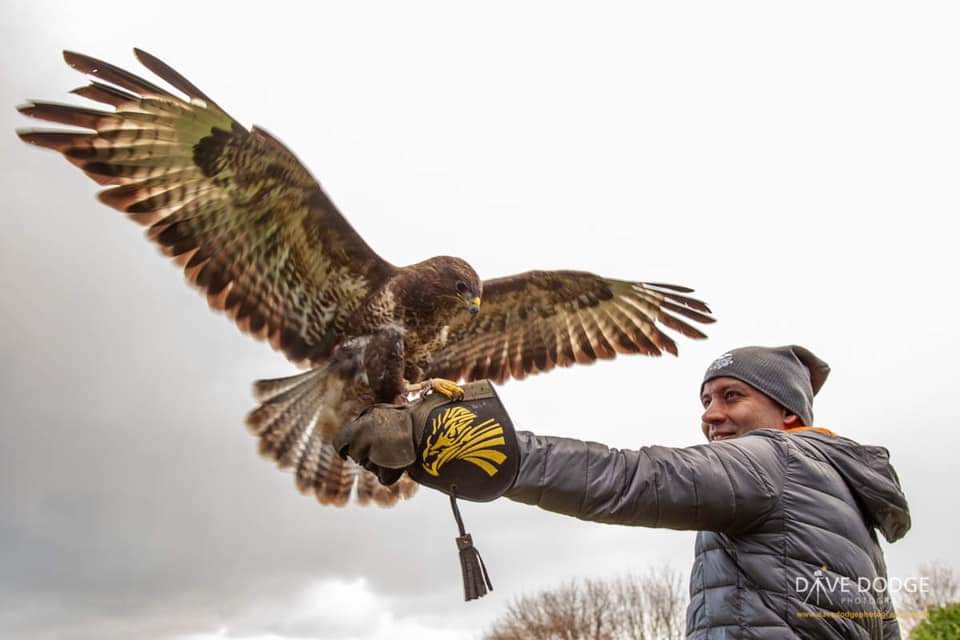 AtulsEarth's tweet image. Thanks to @LibertysCentre in the #NewForest for access to their #birds and #reptiles today, well worth a visit! #Wildlife #NaturePhotography