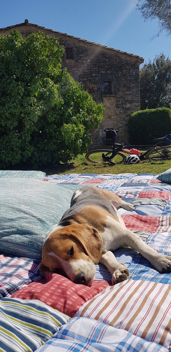 Today I swopped smooth tyres for knobblies to take part in the <a href="/RocacorbaGF/">Rocacorba Gran Fondo</a> gravel ride. What a fun day out in great company and on such an awesome route. Thanks to all involved #rocacorbafoodtruck <a href="/R_Cycling/">Rocacorba Cycling</a> <a href="/tacticsport/">Tactic Sport</a> 🚴‍♀️🚴‍♂️