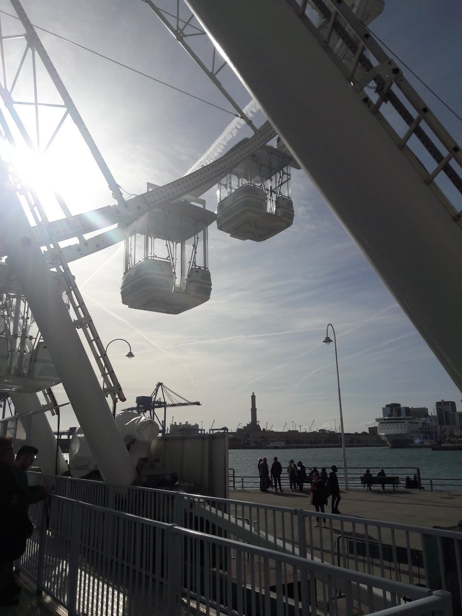 #trovalalanterna tweet media