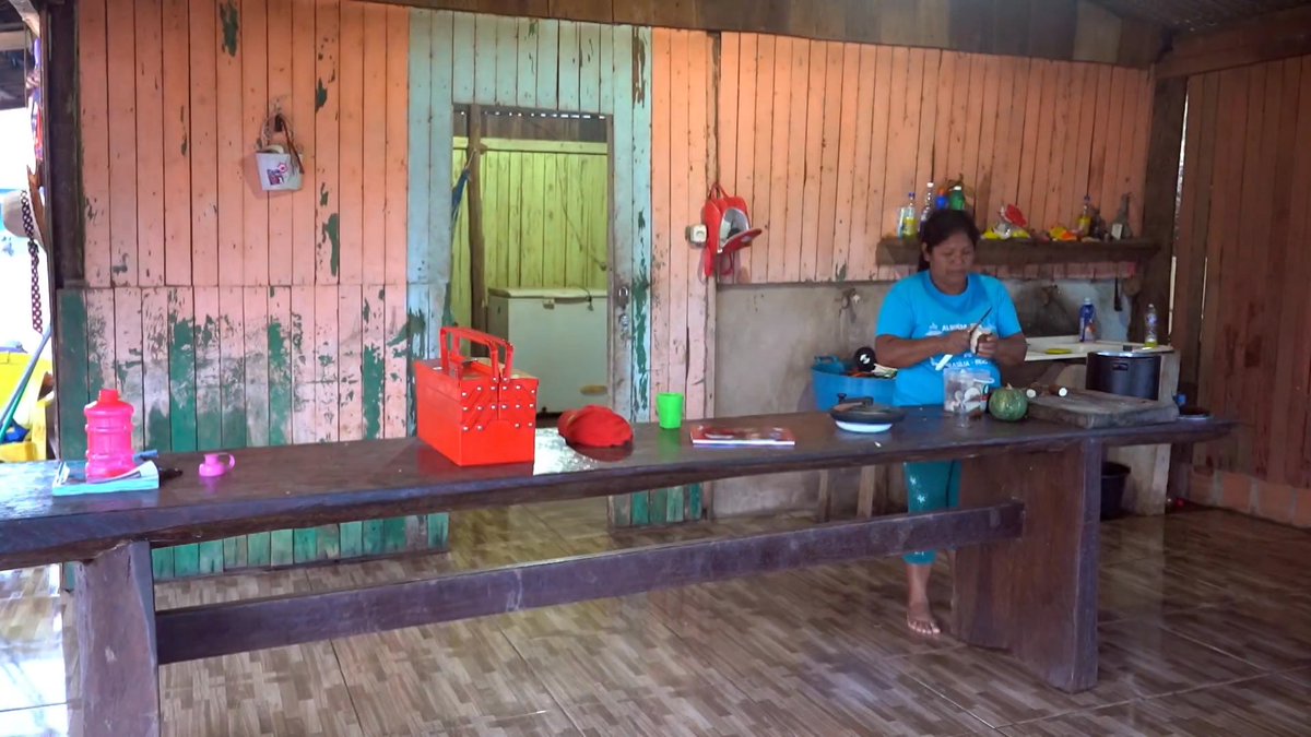 As lavouras dos Índios da etnia Pareci ocupam 1,7% da reserva de mais de 1 milhão de hectares. O Governo a vê como exemplo a ser replicado em outras terras indígenas, mas o MPF, o IBAMA e algumas associações indígenas a condenam. Veja mais no #GNewsEspecial, às 20h30.