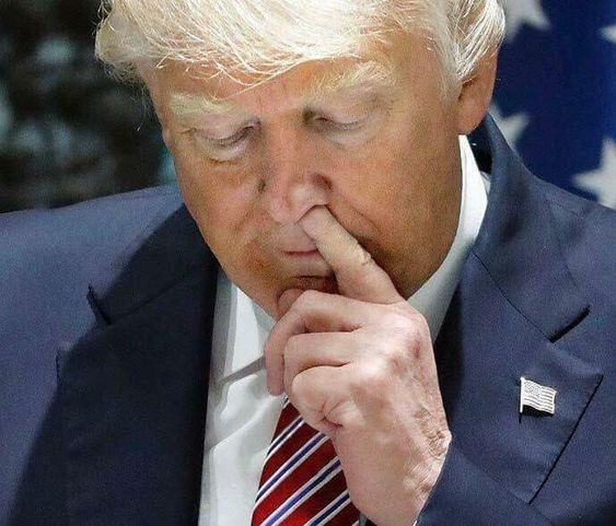 RealMuckmaker's tweet photo. OK Mucksters, who do WE PICK to defeat this thing? Give me your best 2, please? https://t.co/Y5uDqGLYC7
