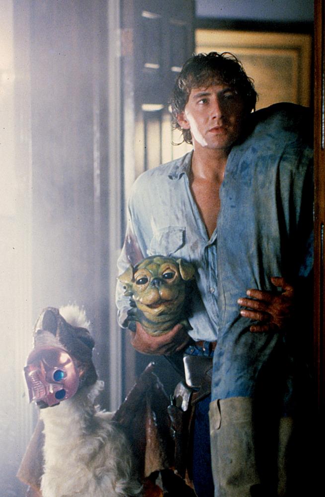 Happy Birthday to Arye Gross!  