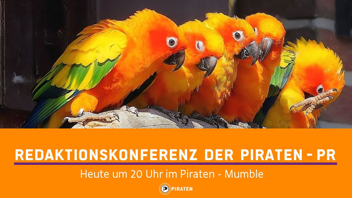 Piratenpartei's tweet photo. Und nach unserem #BPT191 am Wochenende gehts weiter mit der Arbeit.
Zum Beispiel heute, Mo., 18.03.2019 um 20 Uhr bei der Redaktionskonferenz der #PIRATEN-PR im #PIRATEN-NRW-#Mumble. https://t.co/o8W2O7QEMu