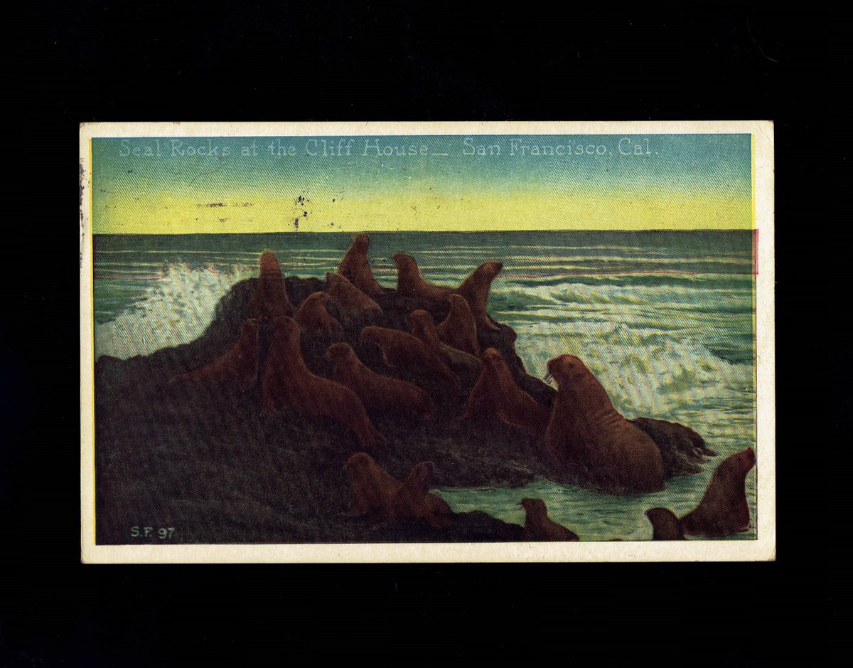 westfourthblvd's tweet image. California San Francisco Seal Rock at Cliff House 1928 Postcard cal1 tuppu.net/b403ee5b #Etsy #VicsStamps #MyNewTag #SealRock