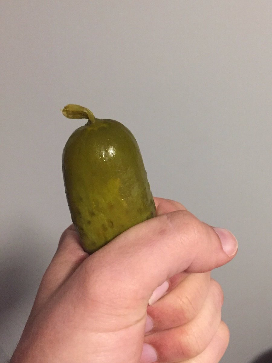 Pra1rieDog's tweet photo. When your pickle has that little nub on it. https://t.co/3NCNCDj9An