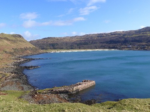 Glorious day at Calgary, #Mull - Great Northern Divers moulting into summer plumage, WTEs &amp; Goldies &amp; masses of Oystercatchers.