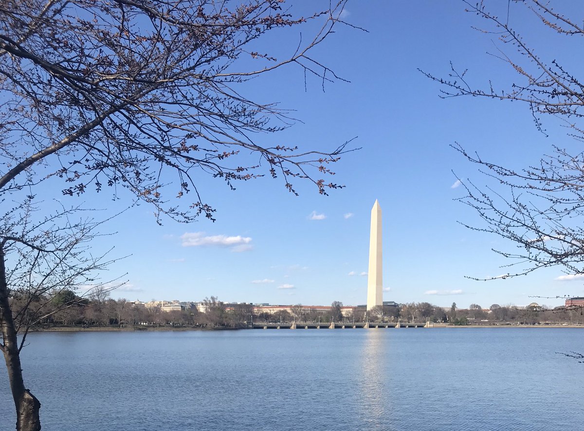 e_entinghe's tweet photo. @LibertyinDC https://t.co/NtWJIFDtu8