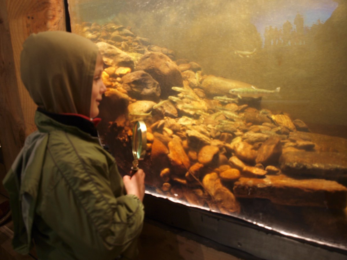 StreamScapes's tweet image. Thanks to so many for great energy today for #StreamSchool launch in Coomhola; bottom-up public engagement extraordinaire! #ItsYourRiverItsYourValley &amp;amp; Cathal here getting to know some salmon parr up close! #SomethingGreen4PatricksDay