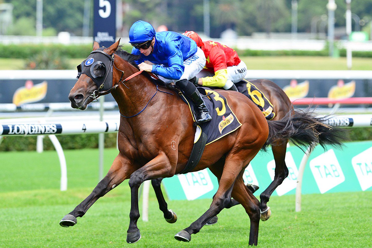 godolphin's tweet photo. #TeamGodolphin will accept with #Microphone, #Tenley, #Kiamichi, #Lyre, #PinSec, #Exhilarates and #Bivouac for Saturday’s G1 Golden Slipper @rosehillgardens. Cap colours to be confirmed 🇦🇺 https://t.co/oiiZRl7yqF