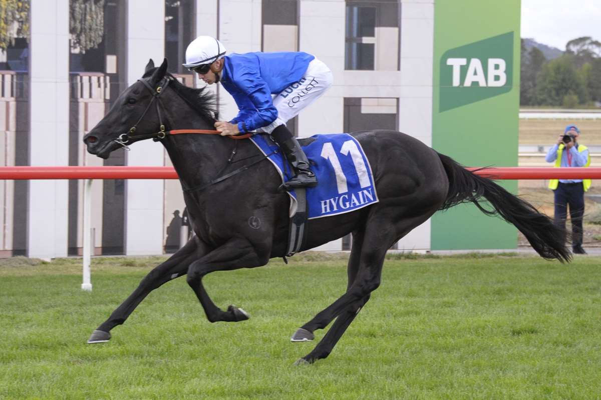Godolphin (@godolphin) on Twitter photo #TeamGodolphin will accept with #Microphone, #Tenley, #Kiamichi, #Lyre, #PinSec, #Exhilarates and #Bivouac for Saturday’s G1 Golden Slipper <a href="/rosehillgardens/">Rosehill Gardens</a>. Cap colours to be confirmed 🇦🇺 #TeamGodolphin will accept with #Microphone, #Tenley, #Kiamichi, #Lyre, #PinSec, #Exhilarates and #Bivouac for Saturday’s G1 Golden Slipper <a href="/rosehillgardens/">Rosehill Gardens</a>. Cap colours to be confirmed 🇦🇺