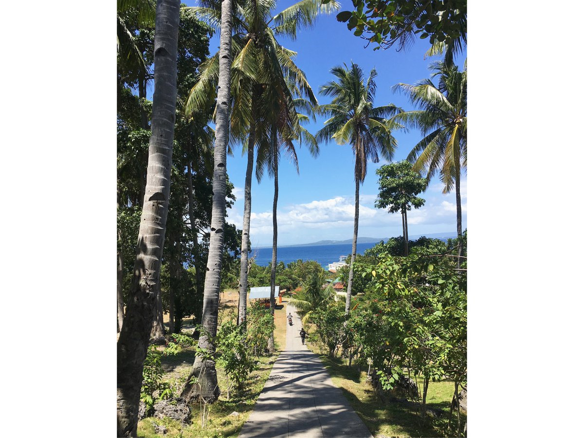 georgielclarke's tweet photo. #ThePhilippines...you were simply exceptional, thank you - I hope we see you again #pamilican #panglao #bohol #travel #islandhopping #vacation #explore #boats #paraw #water #nowifi #digitaldetox #travelphilippines #bohotravel #instatravel #holiday #escape #headspace #switchoff https://t.co/yheWydsIkj