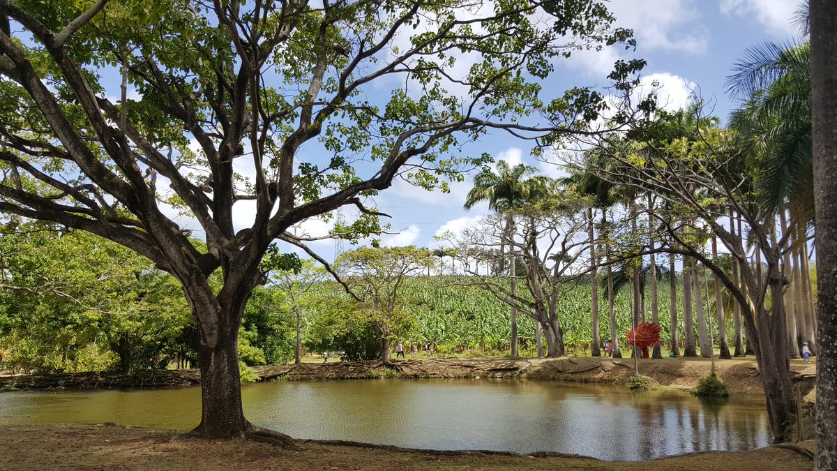 OlivierLS14's tweet photo. #martinique #habitationclement https://t.co/hLGaIuIRzw