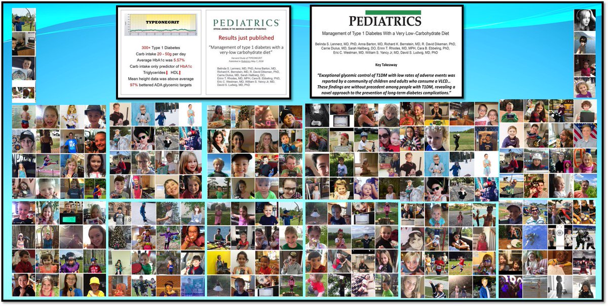 RRDDDDDDDDDD's tweet photo. @JakeKushnerMD @JimJohnsonSci @ethanjweiss @kevinnbass @Maratosflier @kdinbburg @AmDiabetesAssn Why only adult t1ds get low carb? Low carb for proper development of body and brain for t1d children is essential. Kids go to the front, not back of the line! @Type2CEO https://t.co/KU2HzBvemn