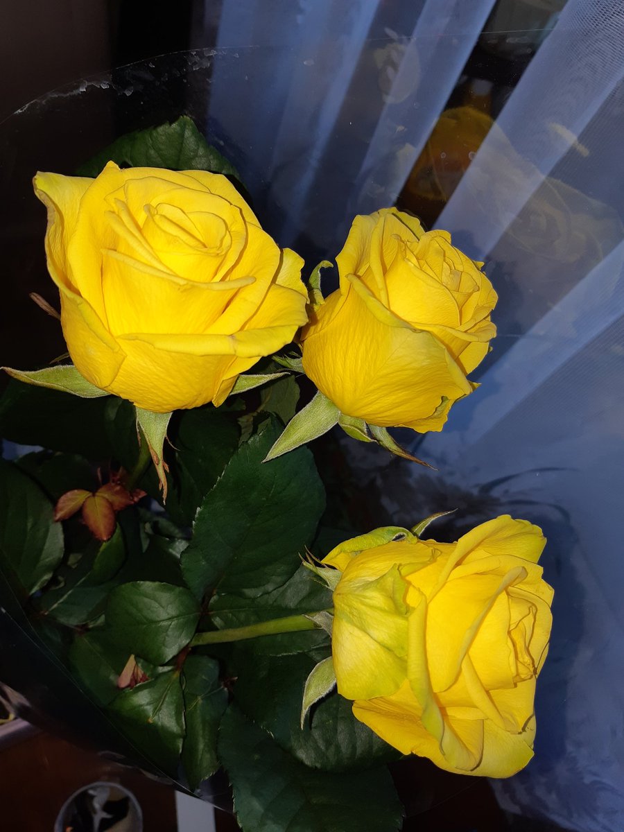 NADEZHDA575's tweet photo. Better or nothing💛🔝 https://t.co/xeP4IMJTU0