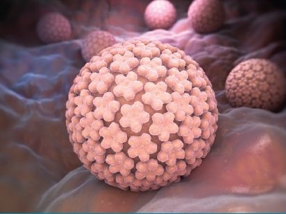OncologyTimes's tweet photo. #SGOMtg News: HPV-Related Cancer Incidence Rates, Not Traditional Disparities, Affect Alabama’s #HPV Vaccine Uptake https://t.co/OUtXDO74lz @SGO_org #SGOHawaii50 #gyncsm https://t.co/N5Lp4EMdDI