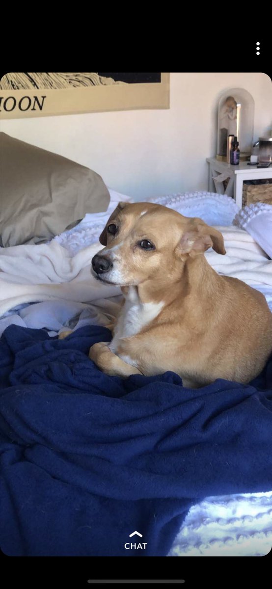 I don’t deserve you. Nor do I deserve your unconditional love❤️