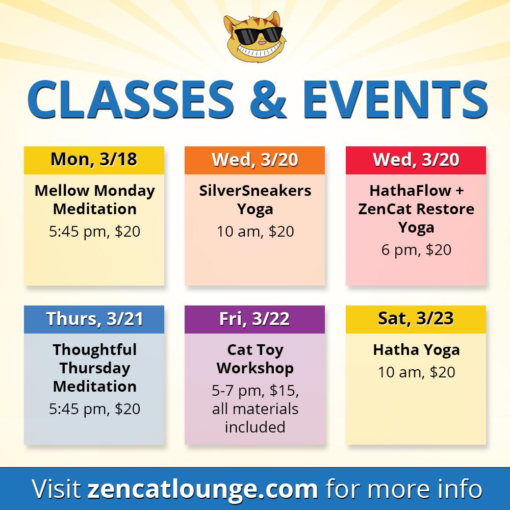 ZencatLounge's tweet photo. Here is what’s happening at ZenCat Lounge this week! #catyoga #meditation #cattoy #crafting #mindfulness #yogawithcats #meditationwithcats #breaevents #brea https://t.co/YvmIdGjaAF