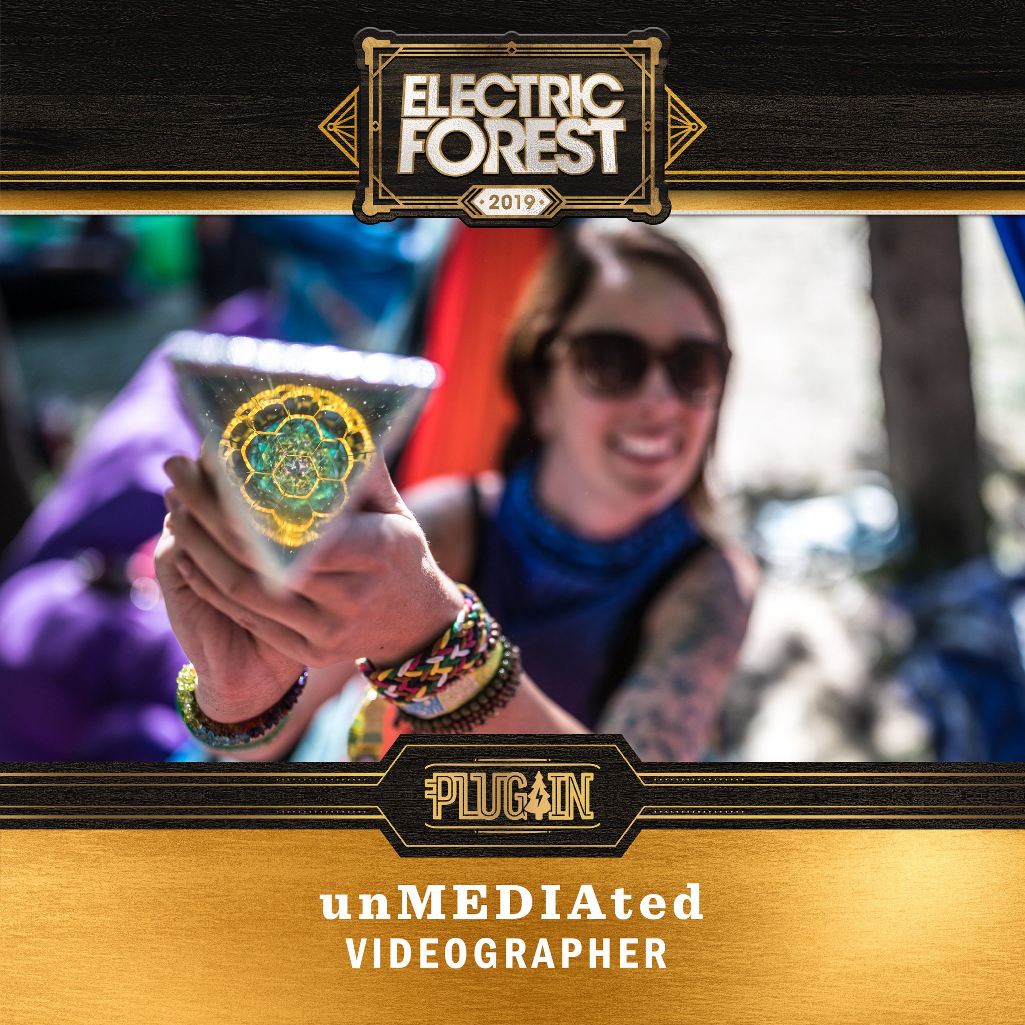 Electric Forest ⚡🌲 on Twitter "EF2019 Plug In Announcement! The