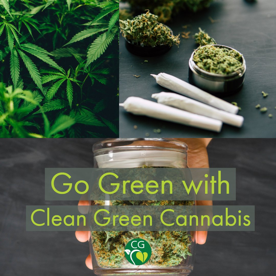 CleanGreenCert's tweet photo. Wishing you a very merry, very green, St. Paddy's Day 🍀

#cleangreencertified #green https://t.co/qqT1tEspq8
