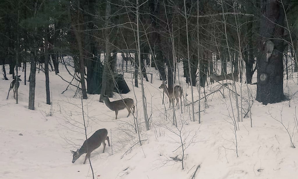 Samantha Graves, CHRP tweet media