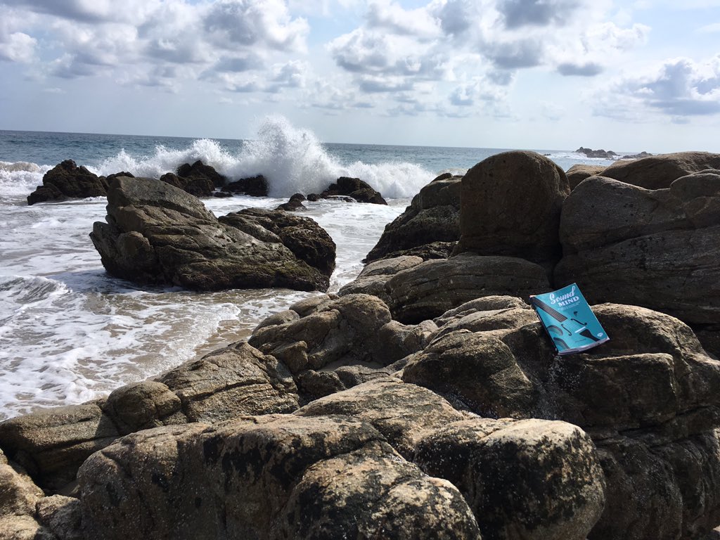 foodplayground's tweet photo. @LeeParpart @TriggerPub Here’s another cameo...#soundmind in Oaxaca. 🌴💛 https://t.co/pBXtVrS6XS