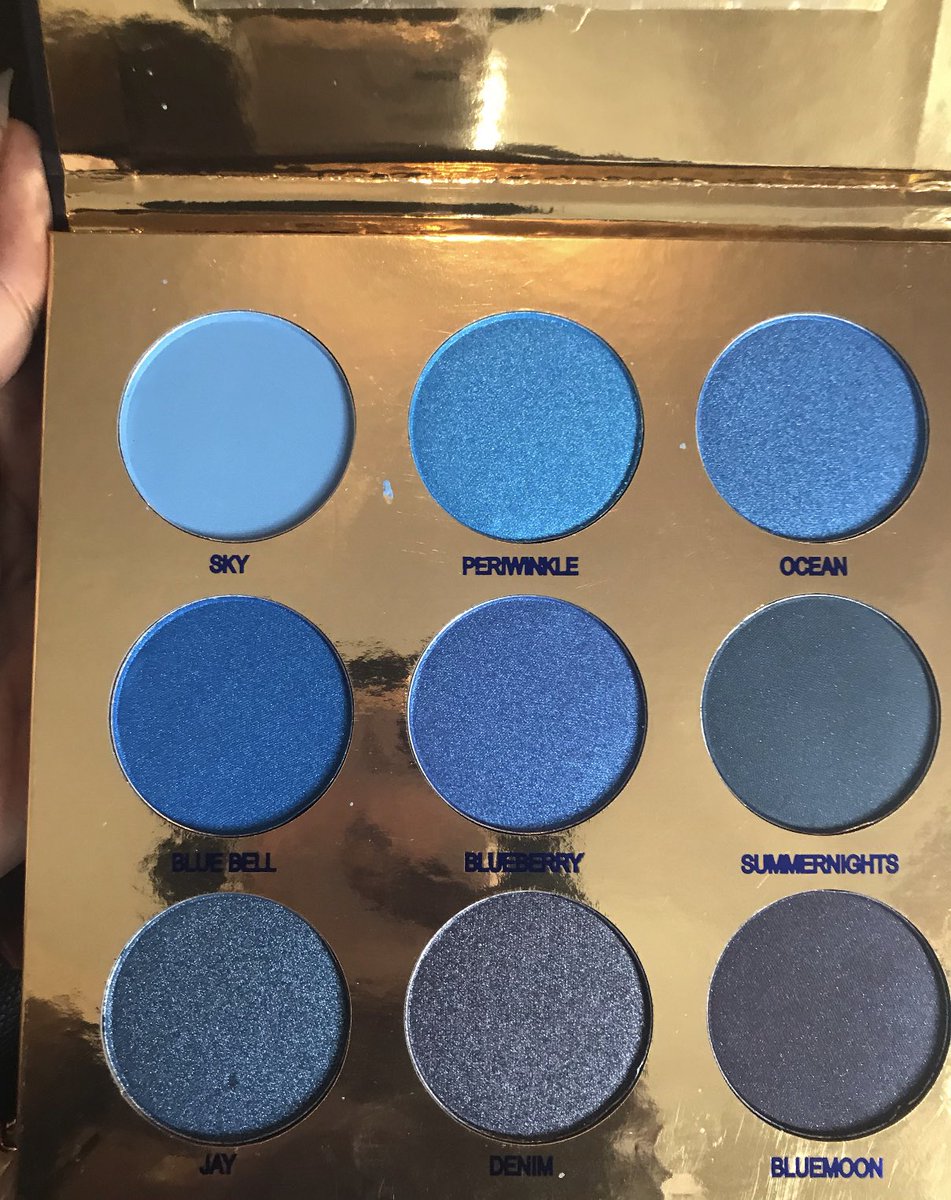 Our popular “Give me the blues” palette has been restocked. #bluepalette#allblue#makeup#makeulover