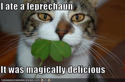 wineonwayzataba's tweet photo. Happy St. Patrick’s Day. https://t.co/Dy4RQptn9R
