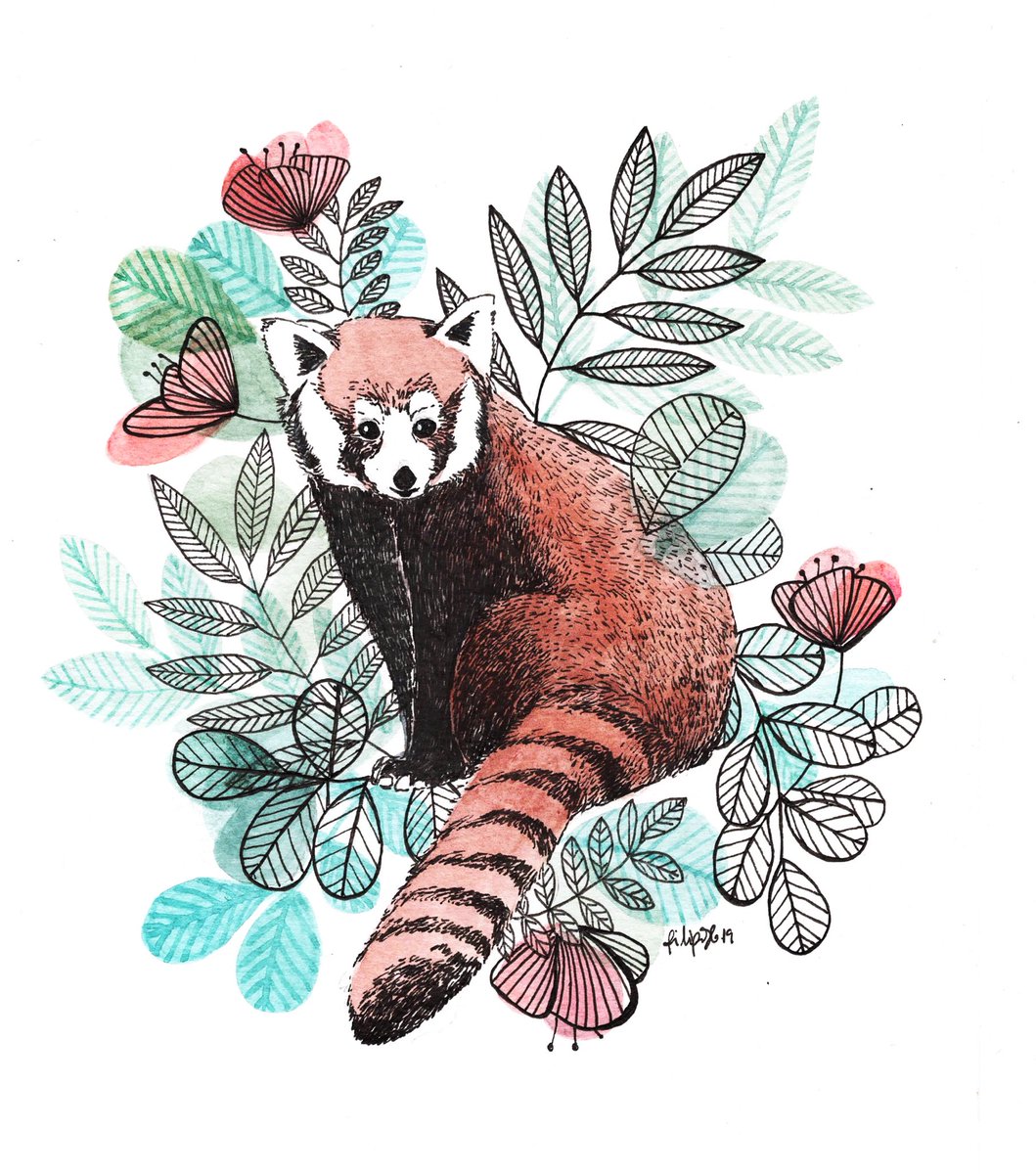 bichocollective's tweet photo. Being a little bit away from social media but work us flowing 🌺
Here comes a red panda🖤
Cute animals to draw? Anyone has sugestions/tips?
#cuteanimals #redpanda #watercolorart #watercolorpainting #pandabear https://t.co/reZW2oS0px
