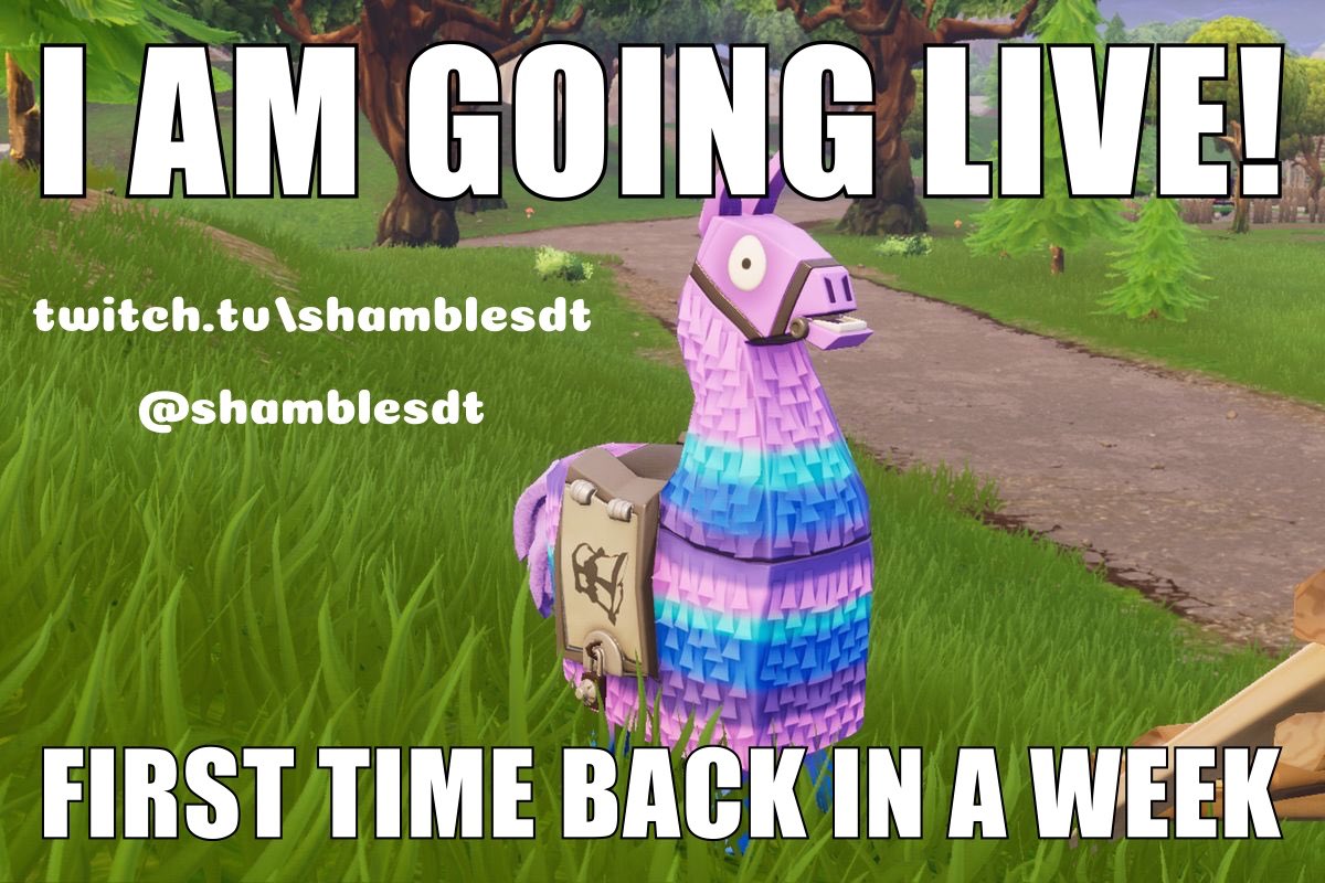 ShamblesDT's tweet photo. https://t.co/pcDTlVujDa going live for the first time in over a week!
#live #shamblesdt #twitch #getinhere #fortnite #csgo #lol #overwatch #pc #pcbuild #gaming #nerd #ninja #feener #wins #winning #morelikelyloses #solos #duos #squads #the #worst #best #twitchclips #snipe #sick https://t.co/aoGvlPBIbx