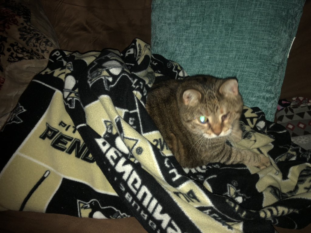 Sabrinacreative's tweet photo. #PHIvsPIT #LetsGoPens #kittylovespens https://t.co/cekYx3Bkuj