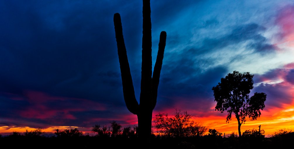 Are we here for #SaguaroSunday or #SunsetSunday? 🌵🌅 bit.ly/2AWNwCH #ExploreAZ #Phoenix #Tucson  #RVTRAVEL #USA #NWRVGlass #RVGLASS #RVLIFE #RVArizona