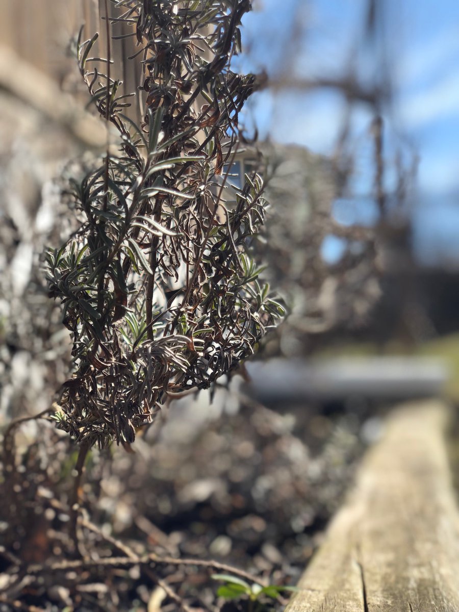 Nathan_Wagner15's tweet photo. Mod 13: Painting with light and Bokeh #psbehrend #photo100 https://t.co/HMOTyLF5PK