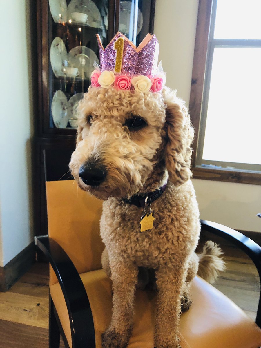 Gals first birthday💕💕💕🍀🍀🍀#mygal #doodlesrock