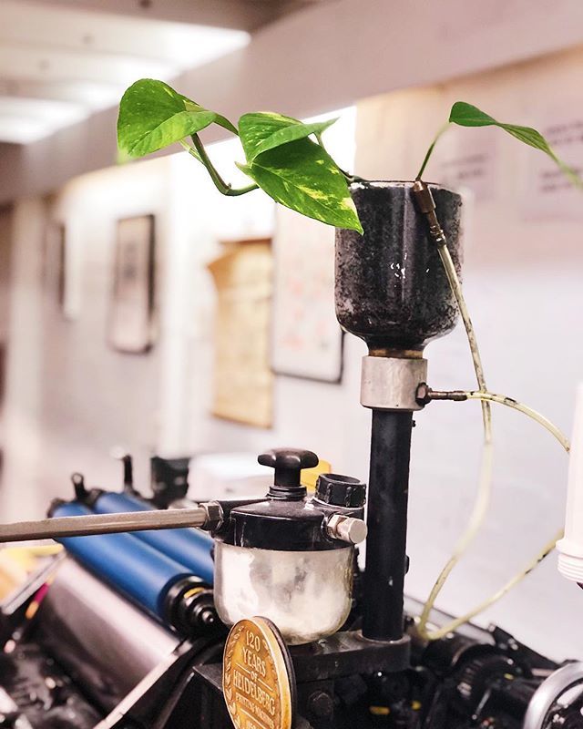 Hungry Workshop tweet media