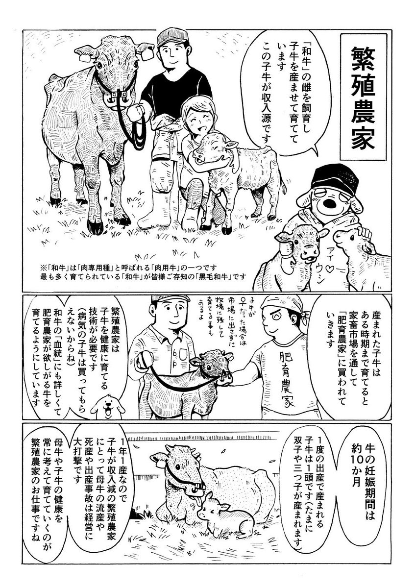 牛飼い農家さん 繁殖農家 肥育農家 酪農家 について 知 牛川いぬお 書籍発売中の漫画