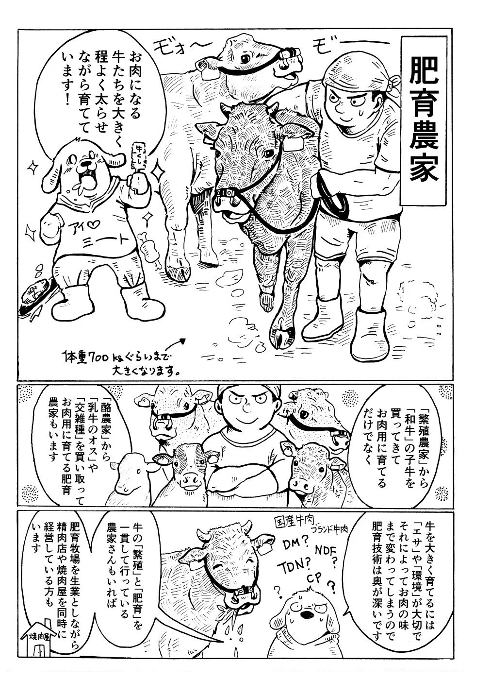「牛飼い農家」といっても仕事はいろいろwwwその違いをまとめました！