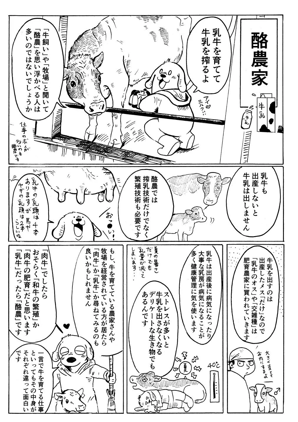 「牛飼い農家」といっても仕事はいろいろwwwその違いをまとめました！